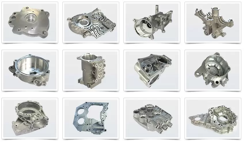 澳门十大信誉平台网址